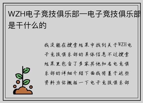 WZH电子竞技俱乐部—电子竞技俱乐部是干什么的